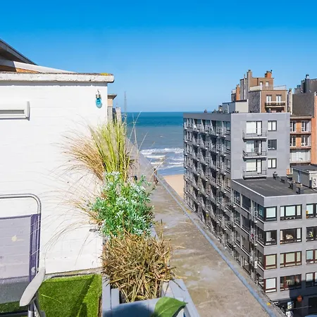 Rooftop Flat By The Seafront With Sea View, Cleaning Included